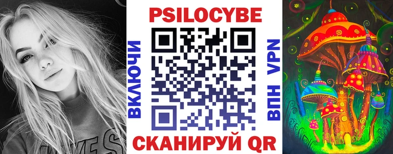 Купить где  Мосальск  Псилоцибиновые грибы прущие грибы 